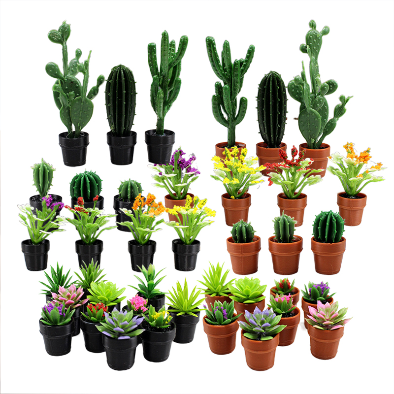 Echeveria Succulent - 미니어처 플라스틱 화분에 심은 다육 식물