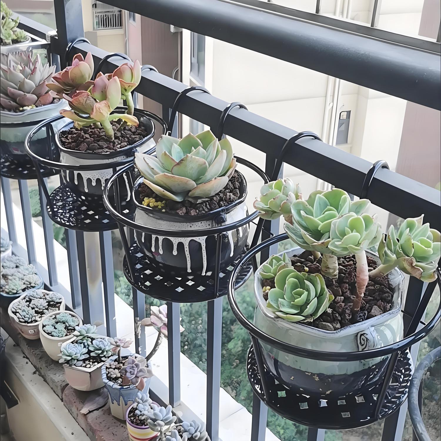 단조 철제 발코니 걸이형 화분/식물 스탠드 - 포토스, - Spider Plant Hanging 리뷰 및 가격