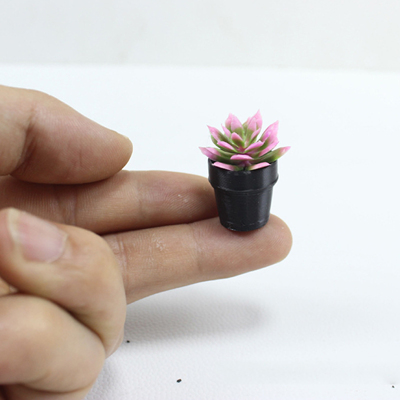 미니어처 플라스틱 화분에 심은 다육 식물 및 선인장 모 - Echeveria Succulent 리뷰 및 가격