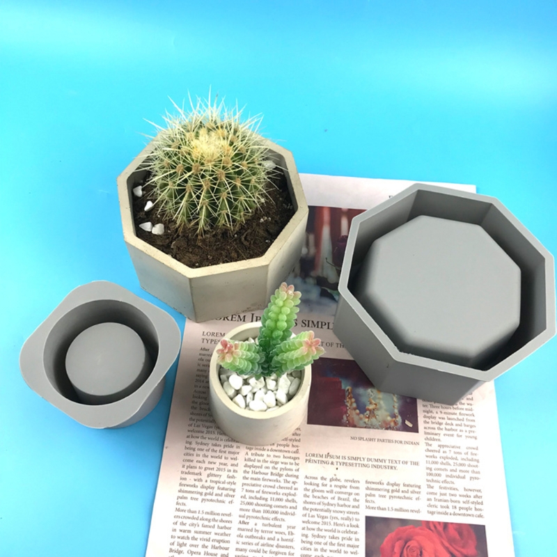 수제 다육 화분 실리콘 몰드 콘크리트 식물 화분, 에폭 - Echeveria Succulent 리뷰 및 가격